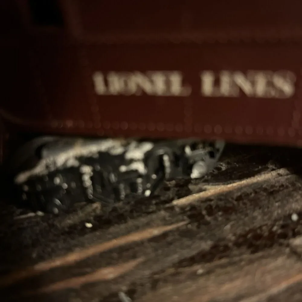 Lionel this lines